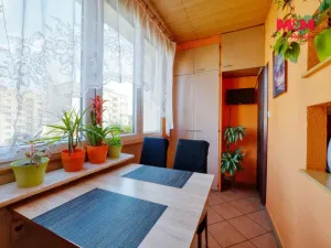 Prodej bytu 1+1, Třemošná, Sídliště, 40 m2
