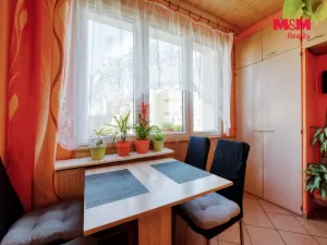 Prodej bytu 1+1, Třemošná, Sídliště, 40 m2