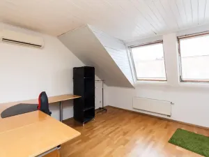 Pronájem bytu 5+kk, Praha - Vinohrady, Balbínova, 186 m2