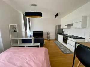 Pronájem bytu 1+kk, Praha - Vinohrady, Rubešova, 31 m2