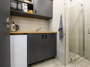 Pronájem obchodního prostoru, Plzeň, Otýlie Beníškové, 274 m2