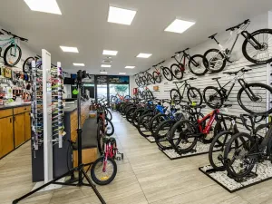 Pronájem obchodního prostoru, Plzeň, 132 m2