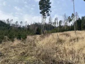 Prodej louky, Městečko Trnávka - Lázy, 1410 m2