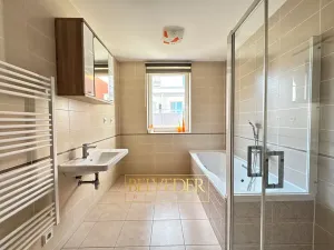 Prodej bytu 2+kk, Teplice, Albrechtova, 61 m2