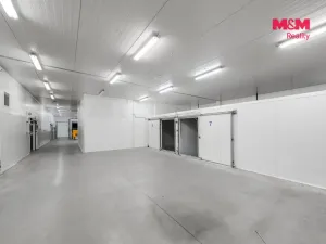 Pronájem skladu, Baška - Kunčičky u Bašky, 1300 m2