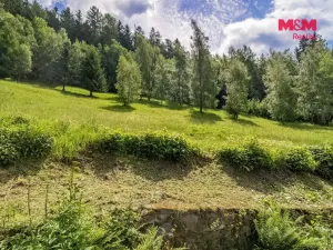 Prodej pozemku pro bydlení, Dolní Dvůr, 9366 m2