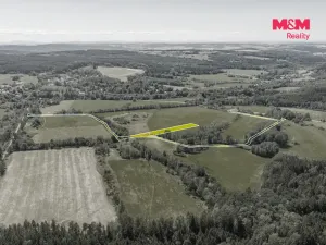 Prodej louky, Nové Mitrovice, 11703 m2
