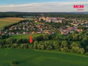 Prodej louky, Horní Bříza, 4590 m2