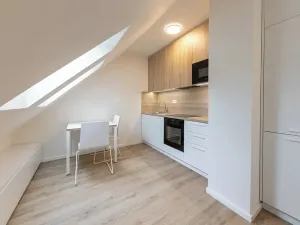 Pronájem bytu 1+kk, Praha - Bubeneč, Veletržní, 30 m2