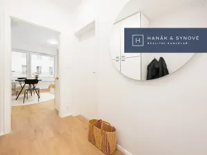 Pronájem bytu 1+kk, Brno, Cejl, 31 m2