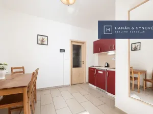 Pronájem bytu 1+1, Brno, Anenská, 43 m2