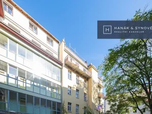 Pronájem bytu 1+1, Brno, Anenská, 43 m2