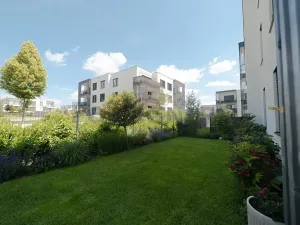 Pronájem bytu 2+kk, Olomouc, Karla Mareše, 83 m2