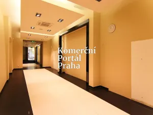 Pronájem restaurace, Praha - Nové Město, Václavské náměstí, 309 m2