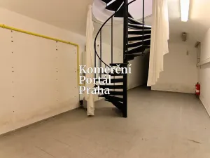 Pronájem obchodního prostoru, Praha - Nové Město, Václavské náměstí, 309 m2