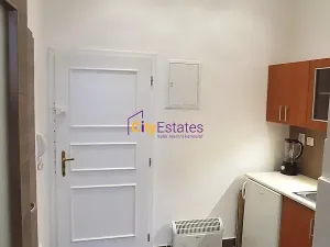 Pronájem bytu 1+kk, Praha - Žižkov, Vlkova, 26 m2