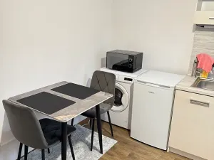Pronájem bytu 1+1, Karlovy Vary, Moskevská, 40 m2