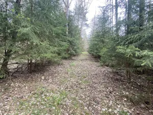 Prodej pozemku, Volfířov - Brandlín, 5958 m2