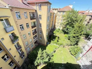 Pronájem bytu 2+kk, Brno - Ponava, Domažlická, 54 m2
