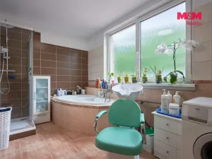 Prodej rodinného domu, Březnice, 260 m2