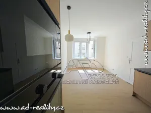 Pronájem bytu 2+kk, Praha - Vršovice, Oblouková, 41 m2