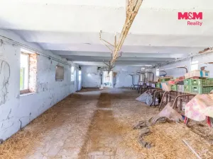Prodej zemědělské usedlosti, Libějovice - Nestanice, 163 m2