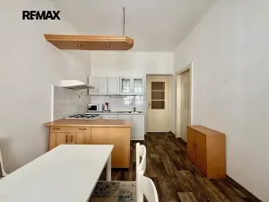 Pronájem bytu 1+1, Plzeň, Alešova, 50 m2