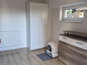 Pronájem atypického bytu, Droužkovice, Rudé armády, 62 m2