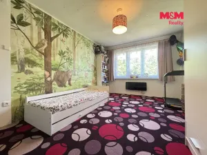 Prodej bytu 2+1, Pacov, Na Blatech, 54 m2