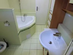 Pronájem bytu 1+1, Krnov, SPC A, 41 m2