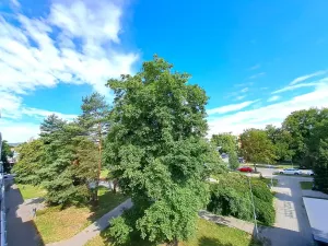 Pronájem bytu 1+kk, Otrokovice, 40 m2