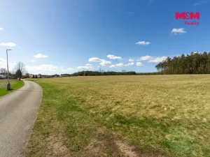 Prodej pole, Zdelov, 5271 m2