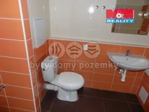 Pronájem bytu 2+kk, Beroun - Beroun-Město, Branislavova, 50 m2