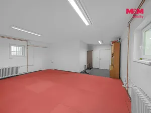 Prodej obchodního prostoru, Hradec Králové - Pražské Předměstí, Seydlerova, 195 m2
