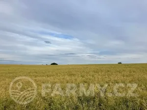 Prodej pole, Cerekvička-Rosice, 71148 m2