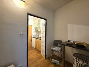 Pronájem bytu 1+kk, Brno, Jedovnická, 20 m2