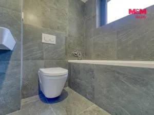 Pronájem bytu 1+kk, Plzeň - Skvrňany, Na Průhonu, 40 m2