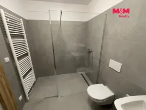 Pronájem kanceláře, Ostrava - Vítkovice, Lidická, 57 m2