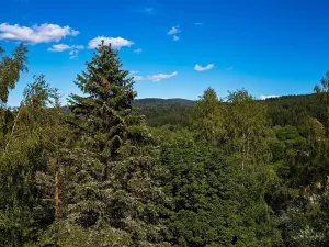 Prodej bytu 2+kk, Bayerisch Eisenstein, Německo, Brennesstraße, 58 m2