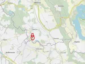 Prodej lesa, Běstvina, 1370 m2