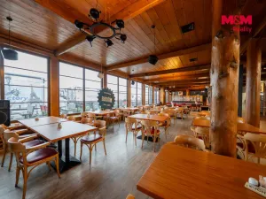 Prodej obchodního prostoru, Olomouc - Nemilany, 600 m2