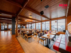 Prodej obchodního prostoru, Olomouc - Nemilany, 600 m2