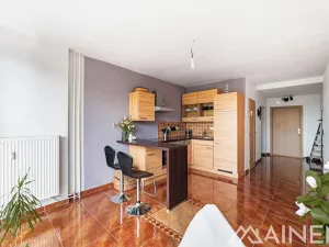 Prodej bytu 2+kk, Plzeň, Klatovská, 43 m2