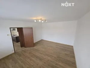 Prodej bytu 1+1, Borotín, 47 m2