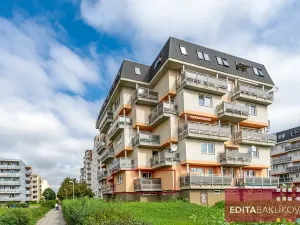 Pronájem bytu 1+kk, Olomouc, Handkeho, 43 m2