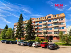 Prodej bytu 1+1, Třeboň, Vrchlického, 32 m2