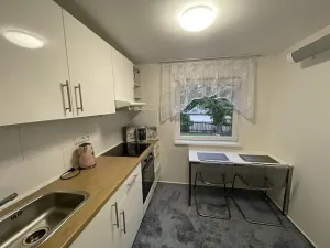 Pronájem chaty, Petříkov, 55 m2