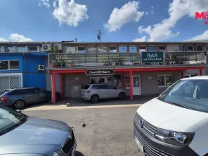 Pronájem obchodního prostoru, Most, Javorová, 58 m2