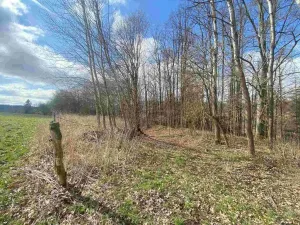 Prodej pozemku, Teplice nad Metují, 5185 m2