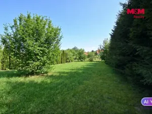 Prodej louky, Chřenovice, 990 m2